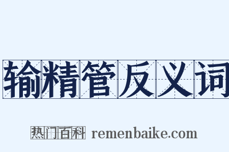 输精管反义词是什么意思的图片